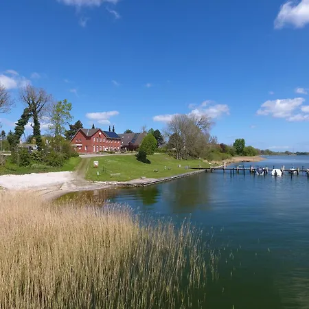 Daire Schleiblick App 19